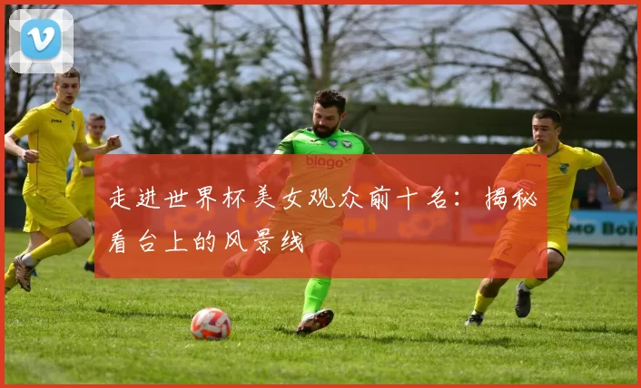 走进世界杯美女观众前十名:揭秘看台上的风景线