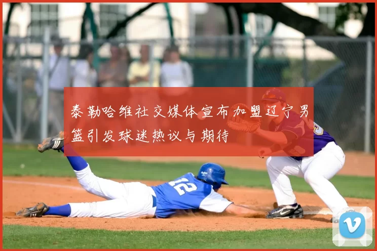 泰勒哈维社交媒体宣布加盟辽宁男篮引发球迷热议与期待