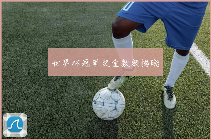 世界杯冠军奖金数额揭晓
