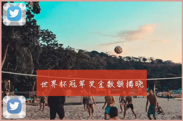 世界杯冠军奖金数额揭晓