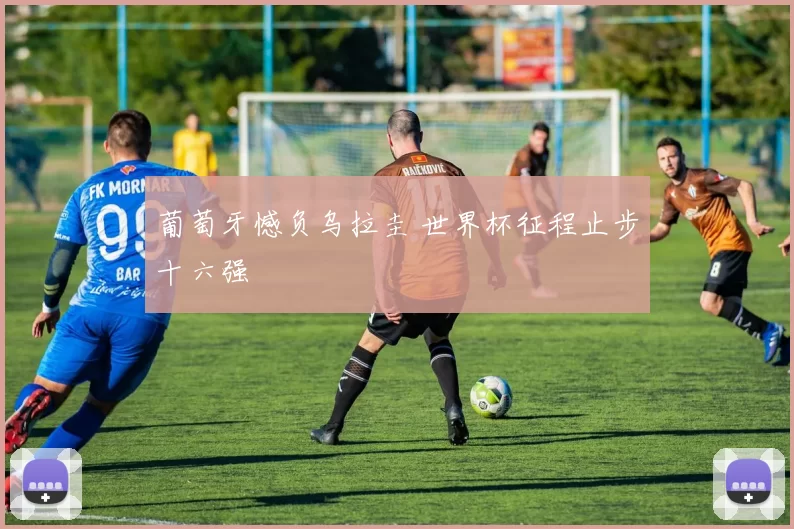 葡萄牙憾负乌拉圭 世界杯征程止步十六强