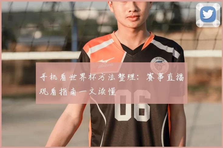 手机看世界杯方法整理:赛事直播观看指南一文读懂