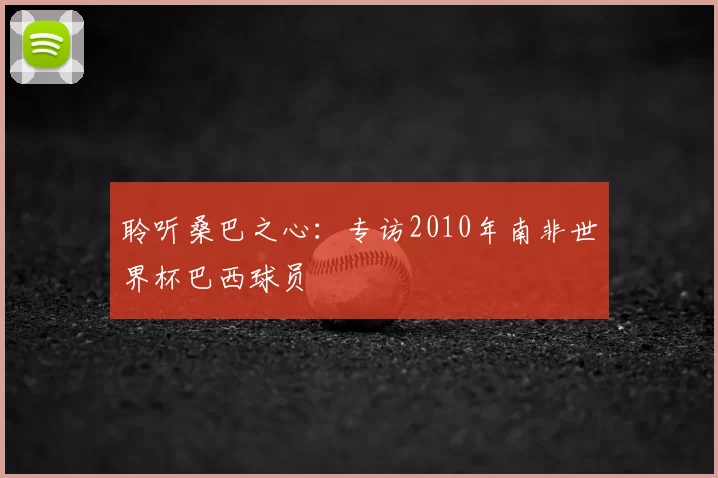 聆听桑巴之心：专访2010年南非世界杯巴西球员