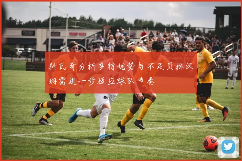 科瓦奇分析多特优势与不足贝林汉姆需进一步适应球队节奏