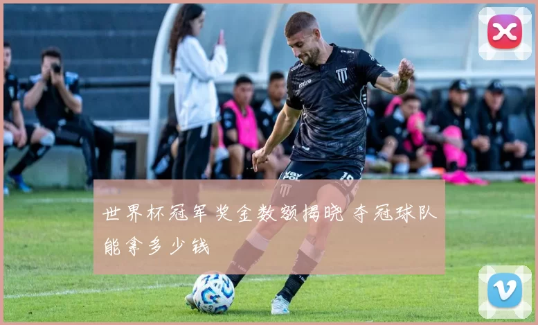 世界杯冠军奖金数额揭晓 夺冠球队能拿多少钱