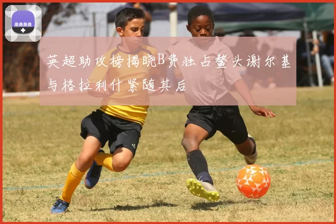 英超助攻榜揭晓B费独占鳌头谢尔基与格拉利什紧随其后