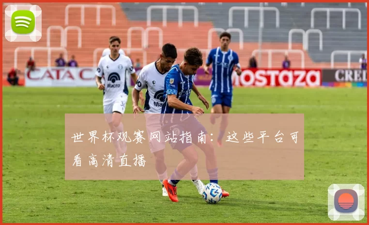 世界杯观赛网站指南:这些平台可看高清直播