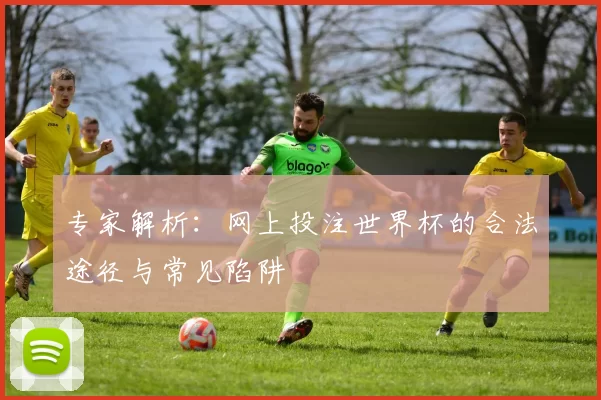 专家解析：网上投注世界杯的合法途径与常见陷阱
