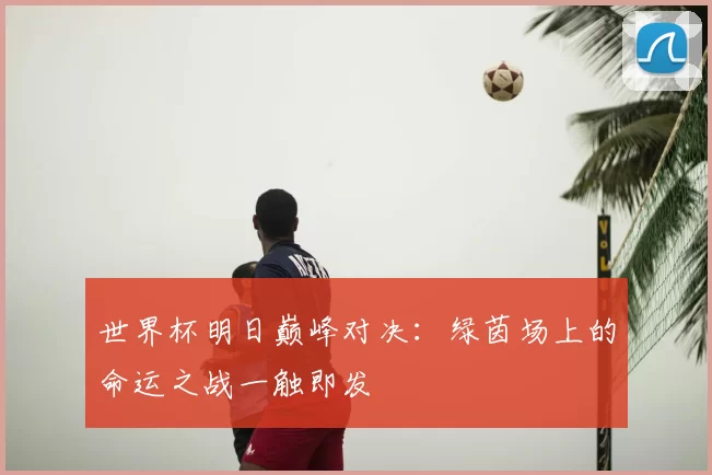 世界杯明日巅峰对决:绿茵场上的命运之战一触即发