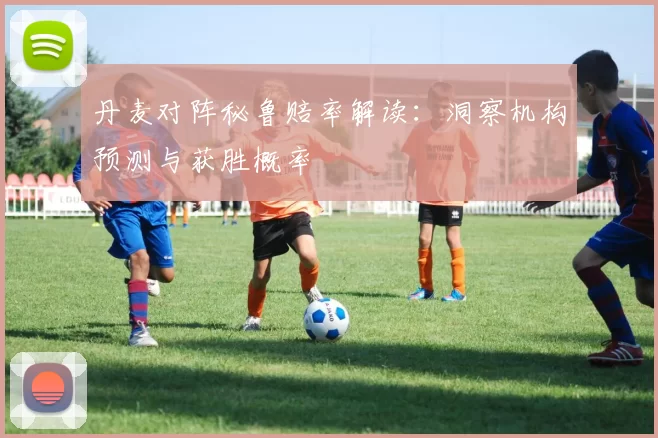 丹麦对阵秘鲁赔率解读:洞察机构预测与获胜概率